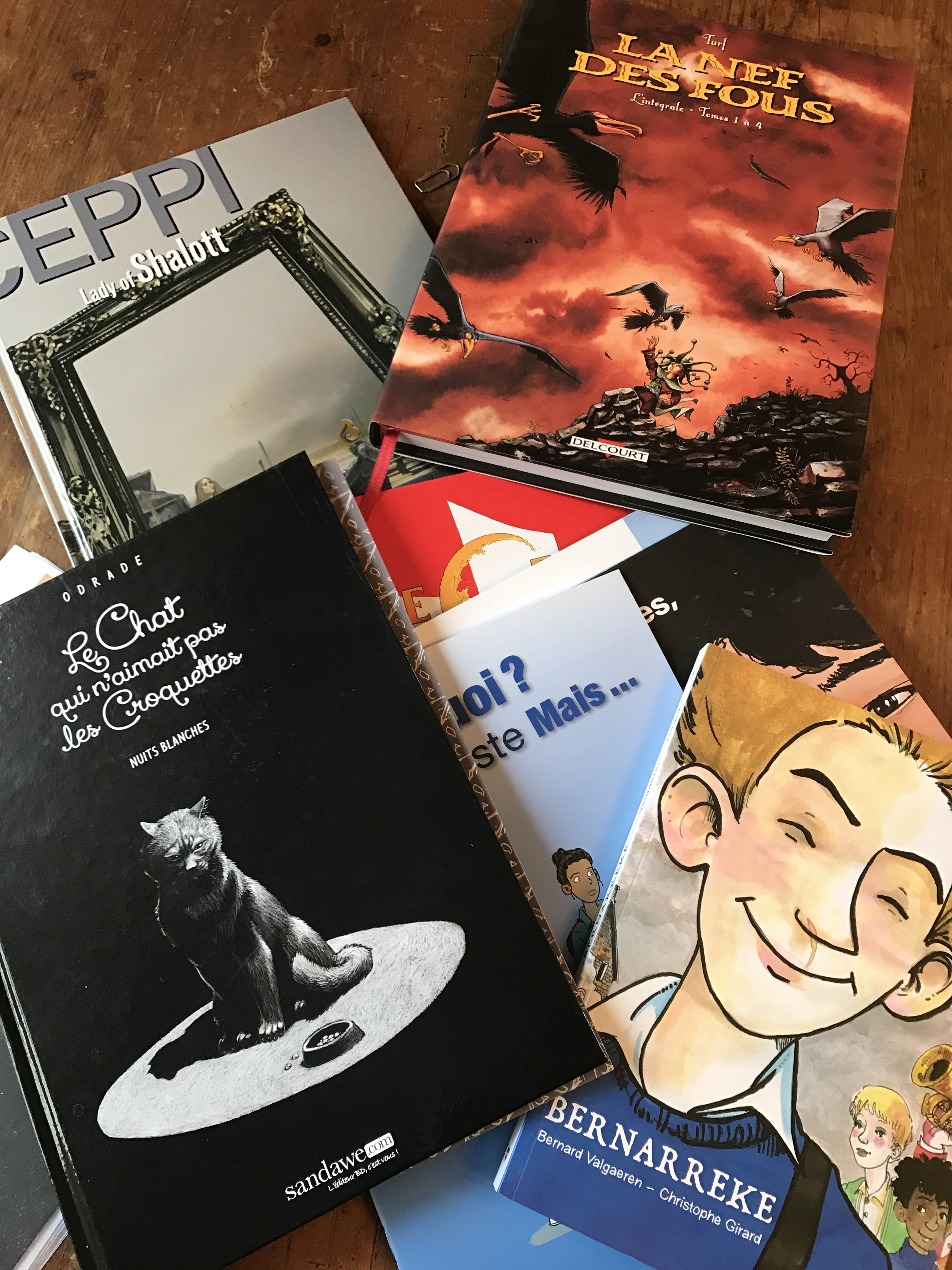 Bilan positif pour le Festival BD au Château